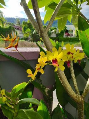 兰卡威海洋小屋 浮罗交怡 外观 照片